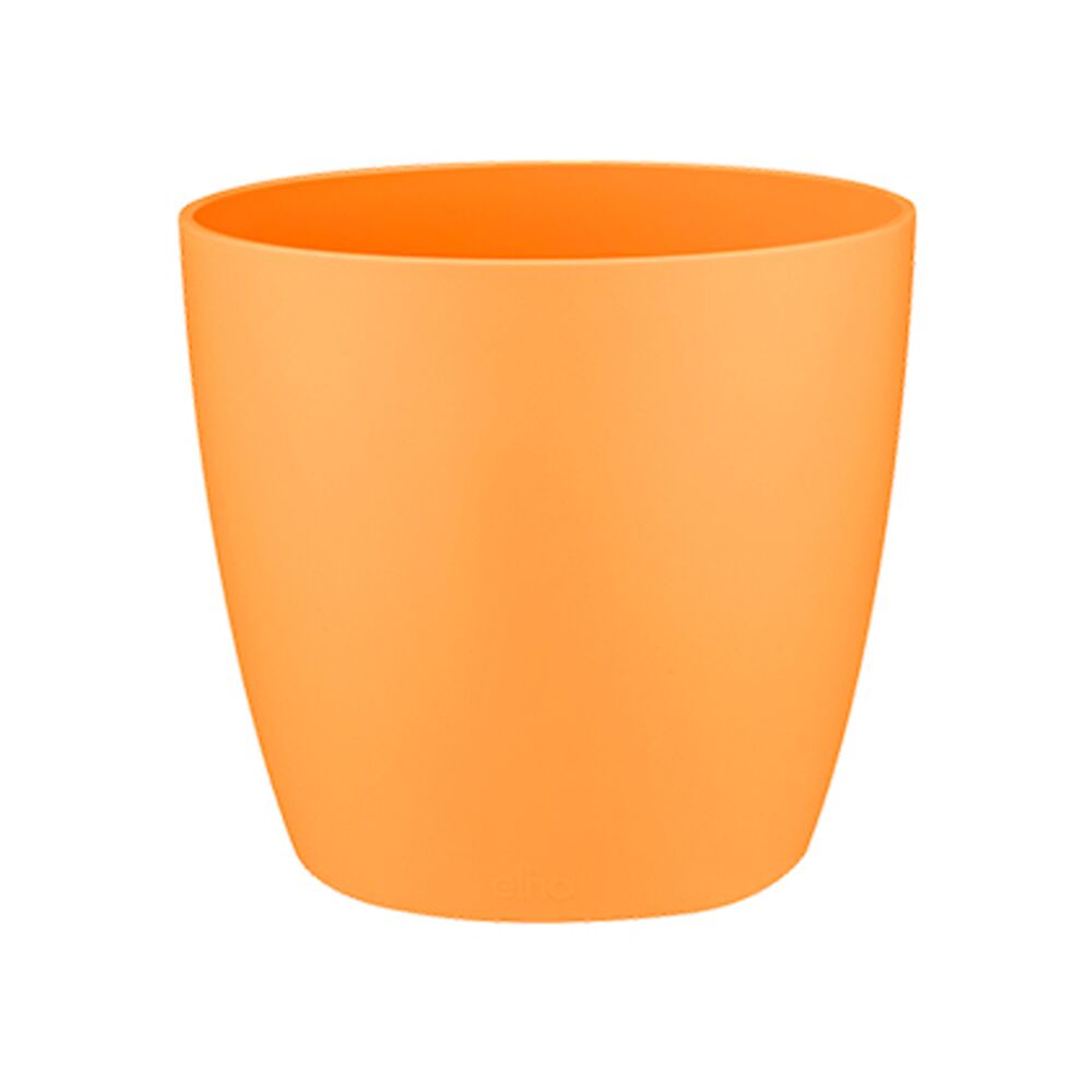 Ghiveci Brussels Round Mini Sunrise Orange 7cm, image 
