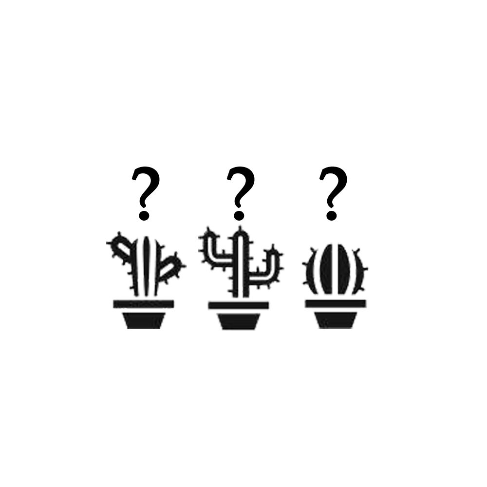 MYSTERY TRIO - CACTUSI (3 BUC), image 