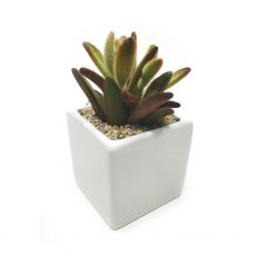 TINY, image , 3 image