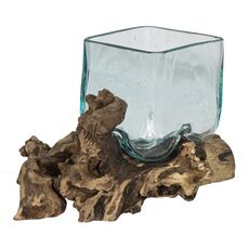 Decowood Glass Terrarium F D20H20, image 