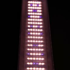 Lampa LED full spectrum 42.5W, image _ab__is.image_number.default