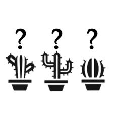 CACTI MYSTERY TRIO 10.5CM (PACK OF 3), image 