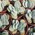 CRASSULA MORGAN'S BEAUTY, image _ab__is.image_number.default