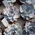 ECHEVERIA LILACINA, image _ab__is.image_number.default