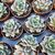 ECHEVERIA PURPUSORUM, image _ab__is.image_number.default