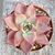 ECHEVERIA AGAVOIDES ROMEO RUBIN, image , 2 image