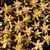 SEDUM NUSSBAUMERIANUM, image _ab__is.image_number.default