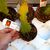 EPIPHYLLUM HYBRID BRUNO FORSTER, image _ab__is.image_number.default