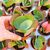 KALANCHOE THYRSIFLORA, image _ab__is.image_number.default