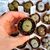 LITHOPS AUCAMPIAE CV. JACKSON'S JADE C395, image _ab__is.image_number.default