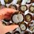 LITHOPS PSEUDOTRUNCATELLA SUBS. DENDRITICA C245, image _ab__is.image_number.default