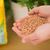 Clay granules Seramis 7.5L, image , 3 image