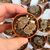 LITHOPS KARASMONTANA BELLA IRONSTONE, image _ab__is.image_number.default