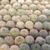 MAMMILLARIA BOCASANA CV. ROSEIFLORA, image _ab__is.image_number.default