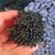 SINOCRASSULA YUNNANENSIS, image _ab__is.image_number.default