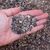 Universal Substrate Lightly Fertilized for Succulents and Cacti 10L (2-5mm), image , 2 image