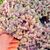 CALLISIA REPENS PINK LADY, image 