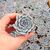 ECHEVERIA SNOW BUNNY, image _ab__is.image_number.default