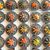GYMNOCALYCIUM FRIEDRICHII VARIEGATA, image _ab__is.image_number.default