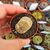 LITHOPS GRACILIDELINEATA SUBS. BRANDBERGENSIS C394, image _ab__is.image_number.default
