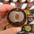 LITHOPS HOOKERI LUTEA C38, image _ab__is.image_number.default