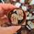 LITHOPS KARASMONTANA TOP RED F097, image 