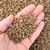 Pumice 1L (2-4mm), image , 2 image