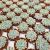 ECHEVERIA APUS, image _ab__is.image_number.default ECHEVERIA APUS, image _ab__is.image_number.default