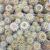 MAMMILLARIA NEJAPENSIS, image _ab__is.image_number.default