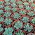 TITANOPSIS CALCAREA, image _ab__is.image_number.default TITANOPSIS CALCAREA, image _ab__is.image_number.default