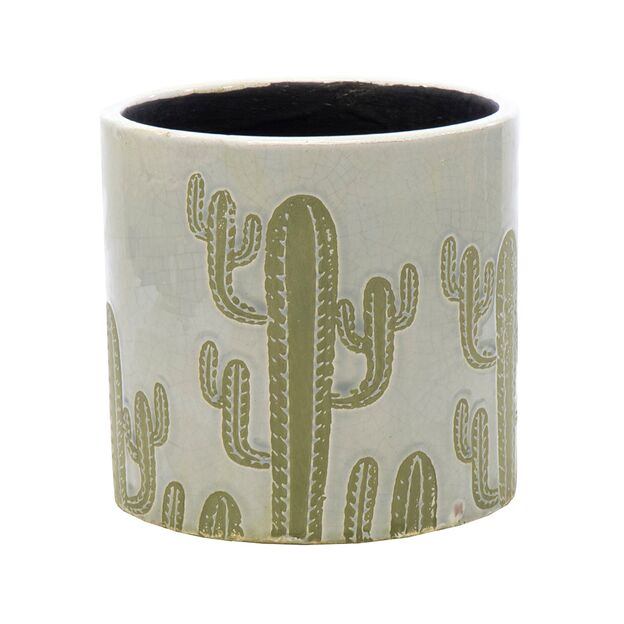 Cactus Country pot Light Gray D8H8, image 