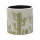 Ghiveci Cactus Country Light Gray D8H8, image 