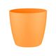 Ghiveci Brussels Round Mini Sunrise Orange 7cm, image 