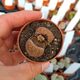 LITHOPS AUCAMPIAE MANYADING, image 