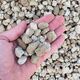 Pumice 1L (6-14mm), image 